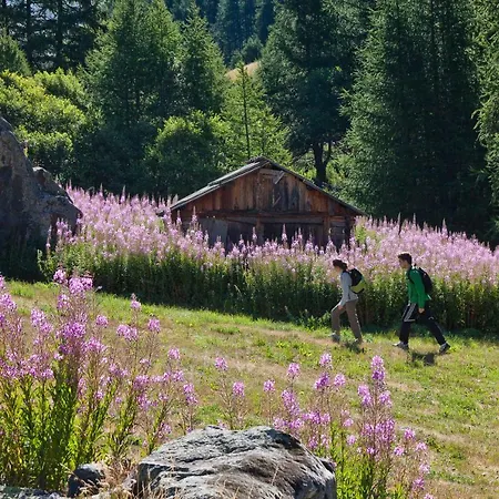 Alpesi faház Carpe Diem
